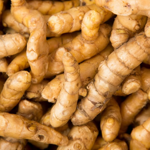 Turmeric
