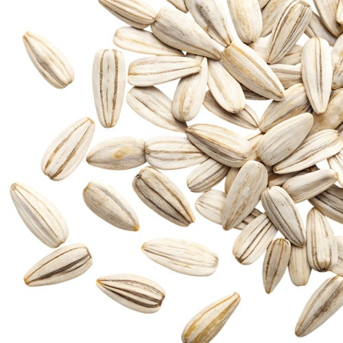 Sunflower Seeds
