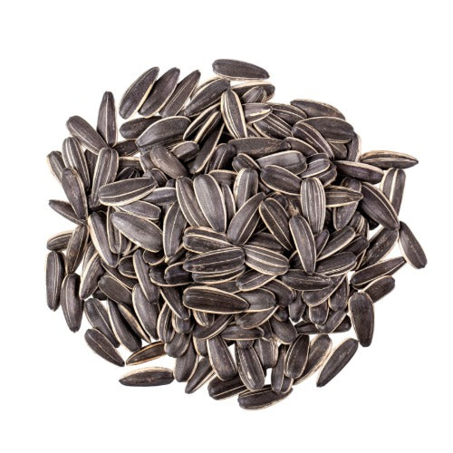 Sunflower Seeds