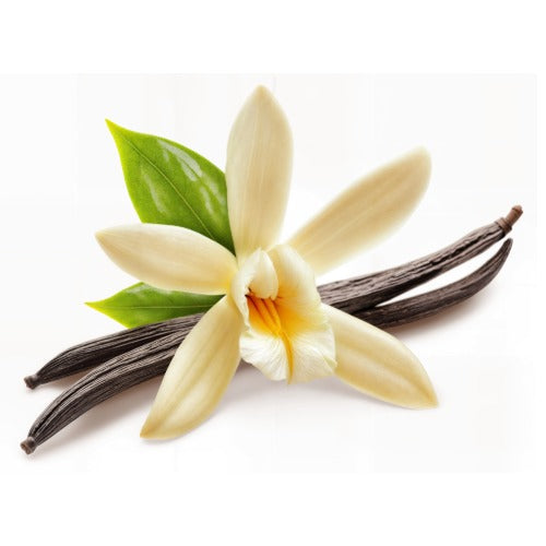 Vanilla Beans